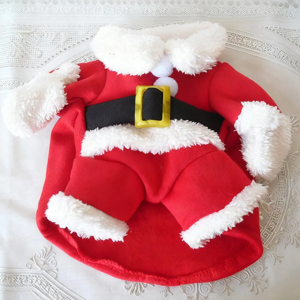 Disfraz de Papá Noel para gatos