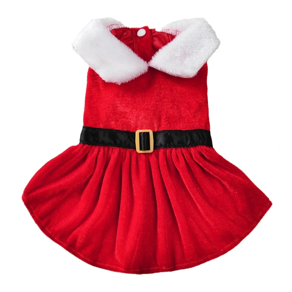 Disfraz de Papá Noel para gatos